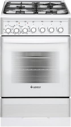 Газоэлектрическая плита ПГЭ 5302-03 0040